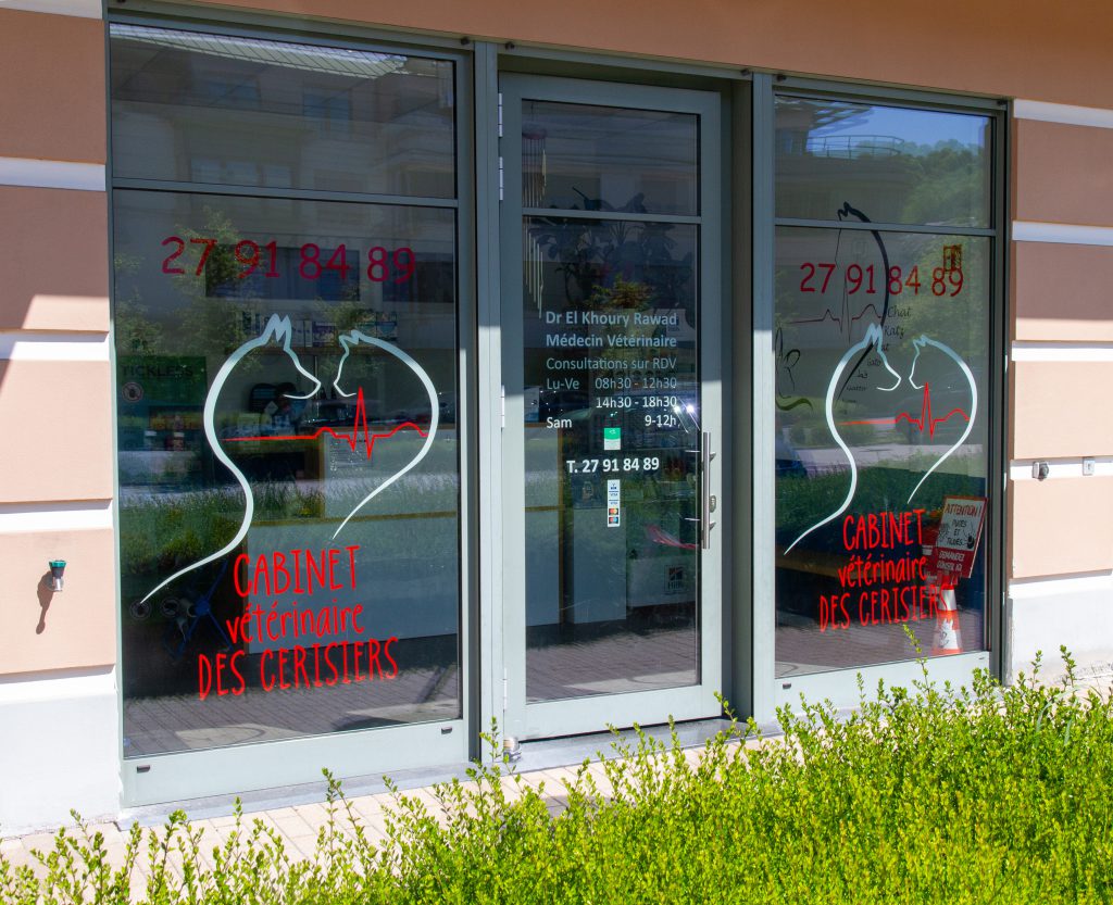 CabinetVeterinaireDesCerisiers